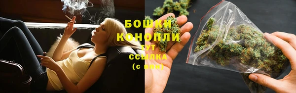 стафф Семёнов