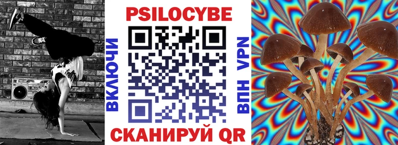 Псилоцибиновые грибы Cubensis Галич
